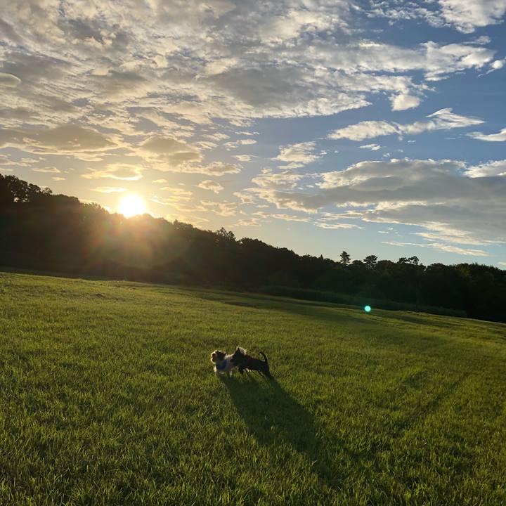 C969c157 812c 4616 8feb 974d5f850ed8 1534367883184