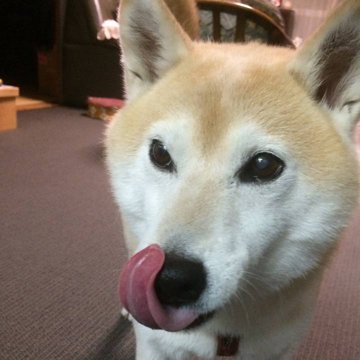 C969df20 7e3f 4cbd b943 b0bae03f2258 1582556290606