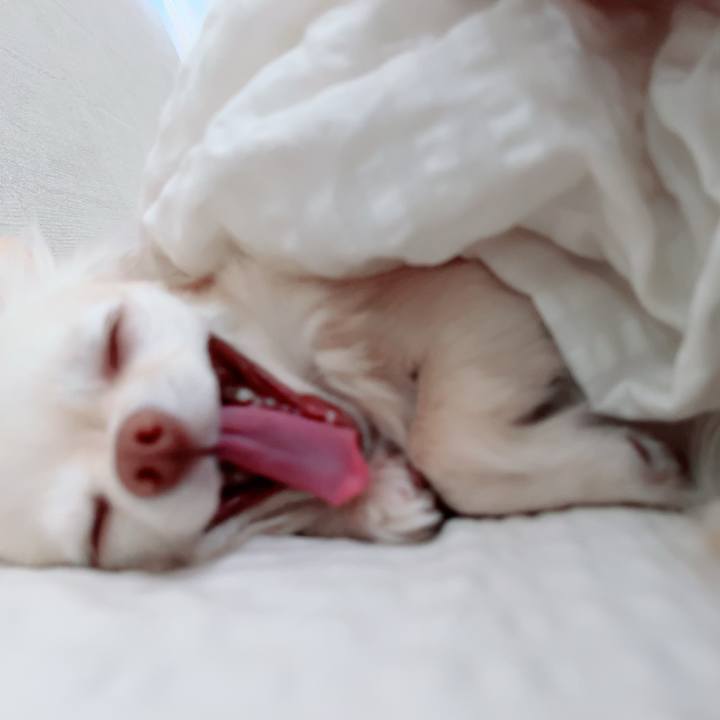 C969f452 a558 4670 8b82 6b2943195558 1710405313481