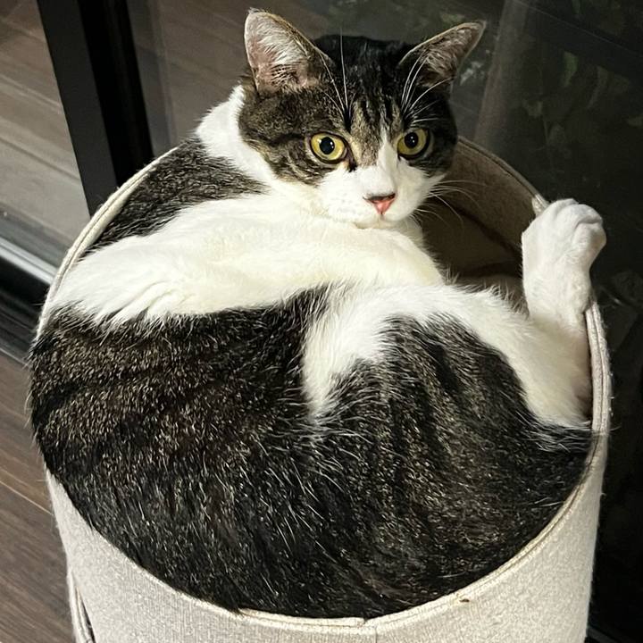 C969f9d1 527b 48cf 8343 86baa7b49074 1759662731170