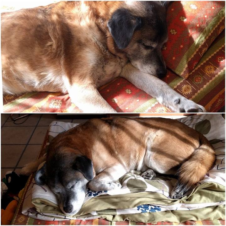 C96a263e 50c1 4ae0 8360 b3c79a502846 1550984390149