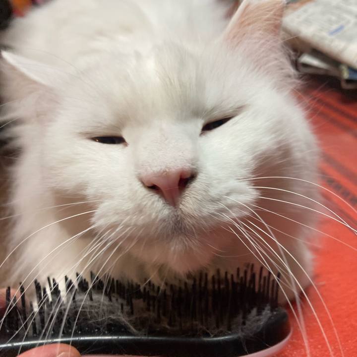 C96a33fb 26e0 4c80 8355 ee176e47da48 1775430193891