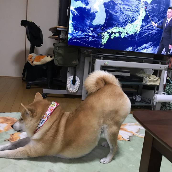 C96a3436 3689 41b4 bb8f b632521d08f0 1540907781097