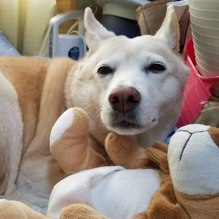 C96a3922 1f45 4963 9b28 ad9f5bea20f6 1590894638161