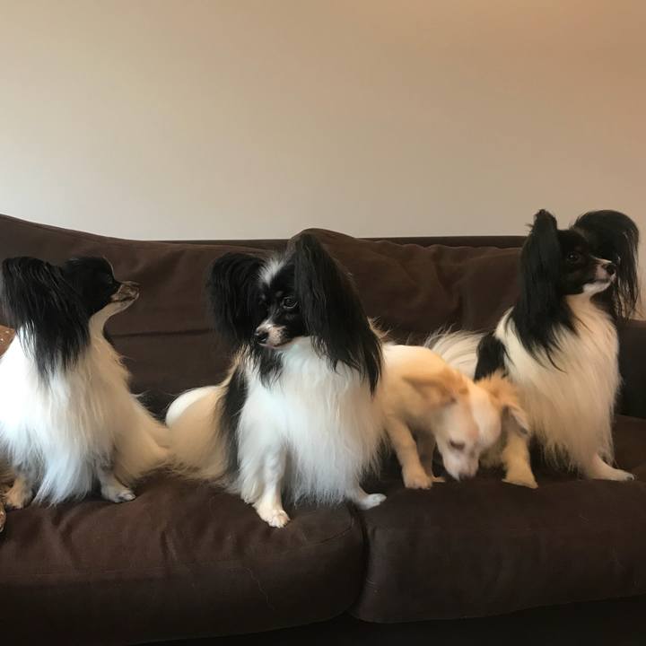 C96a8a5a 0fb8 4f0d 8f3f 960e100e91e8 1533994053299