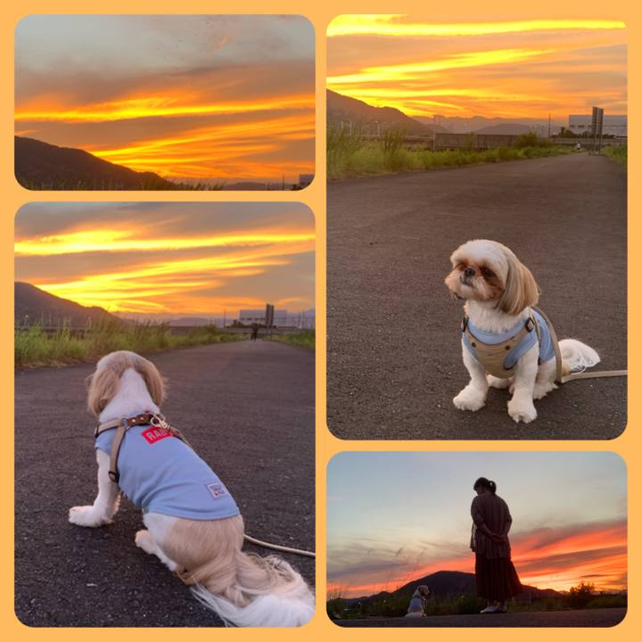 C96ab35a dbe4 4f5e aebe e44f35de5560 1628255283921