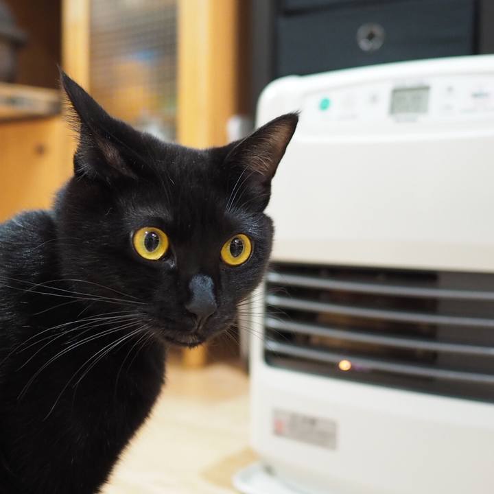 C96abf47 2641 4ccd 9a8d 94a92960d4be 1543819296231