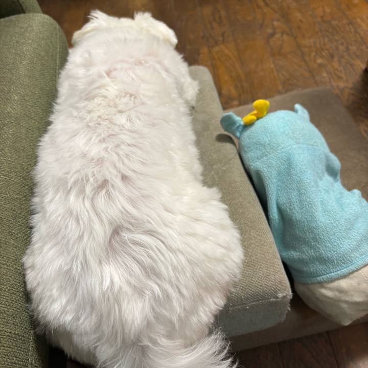 C96ad2fb 6a9c 4776 a821 808c2c3e5c5e 1773662565107