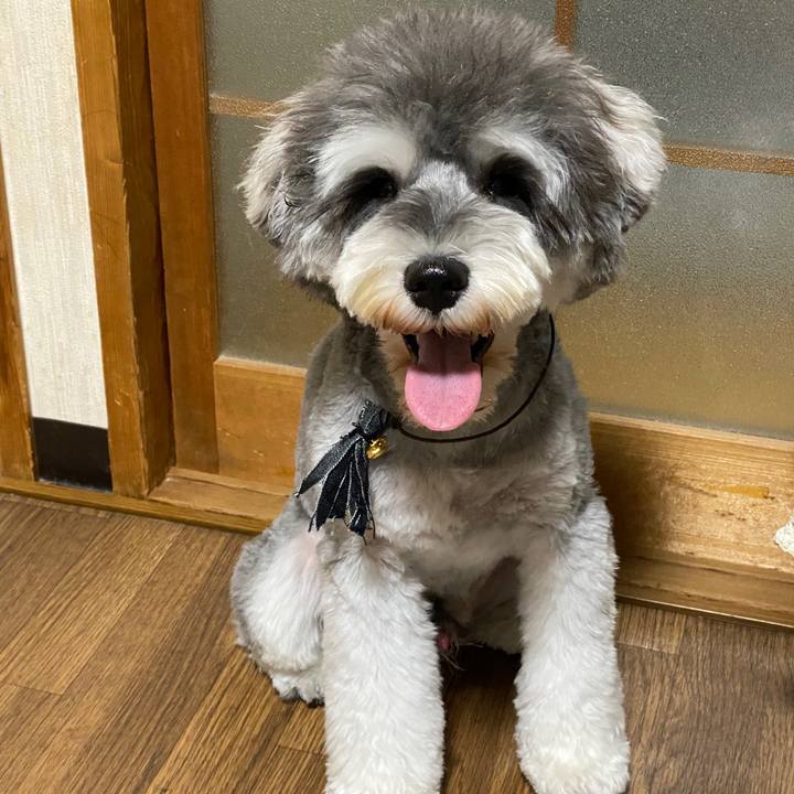 C96ad837 d32c 4ed3 8159 1c2a0d405372 1594214893401