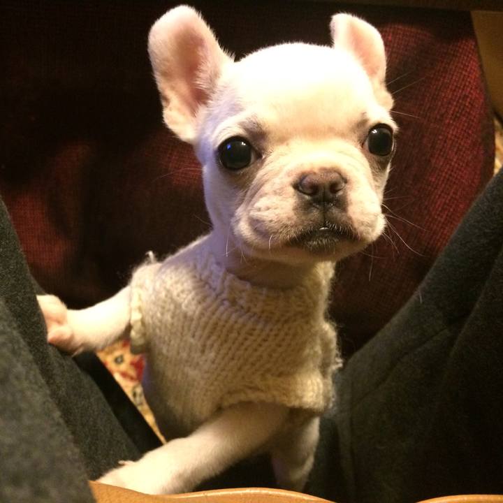 C96af1cb 11b9 476f 9336 af42799256a8 1519207731309