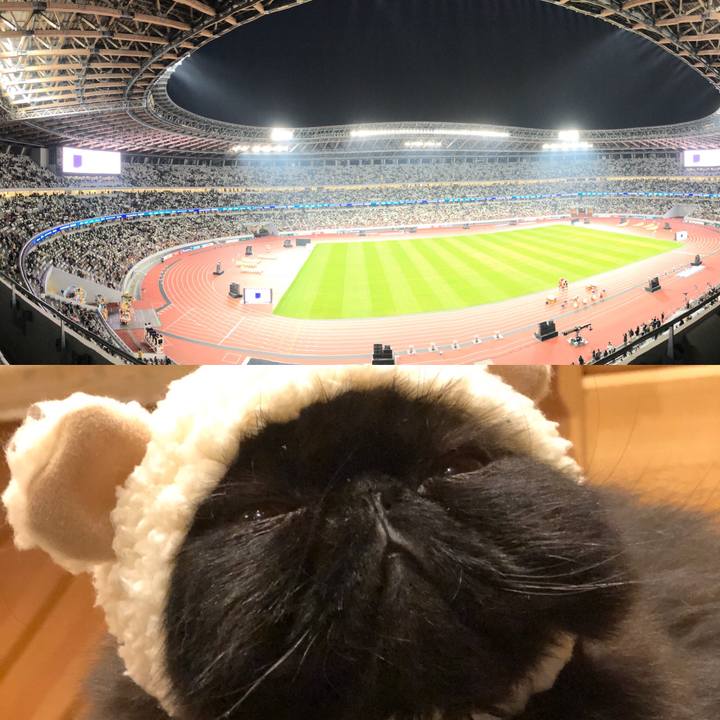 C96af47c 9ac4 4534 8d4d b72f27d66b39 1576917485363