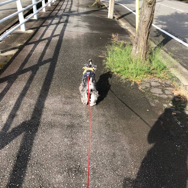 C96b2c1b dc14 4f48 b56b 03ecf8025ba7 1630137801980