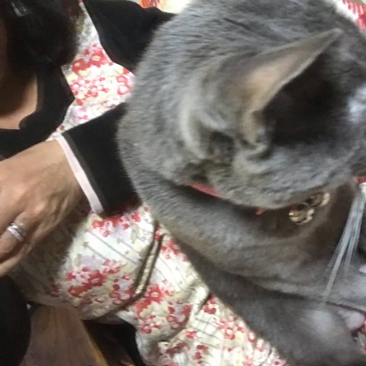 C96b41e3 0ebb 4730 9c6e 7bee6512568d 1553695948943