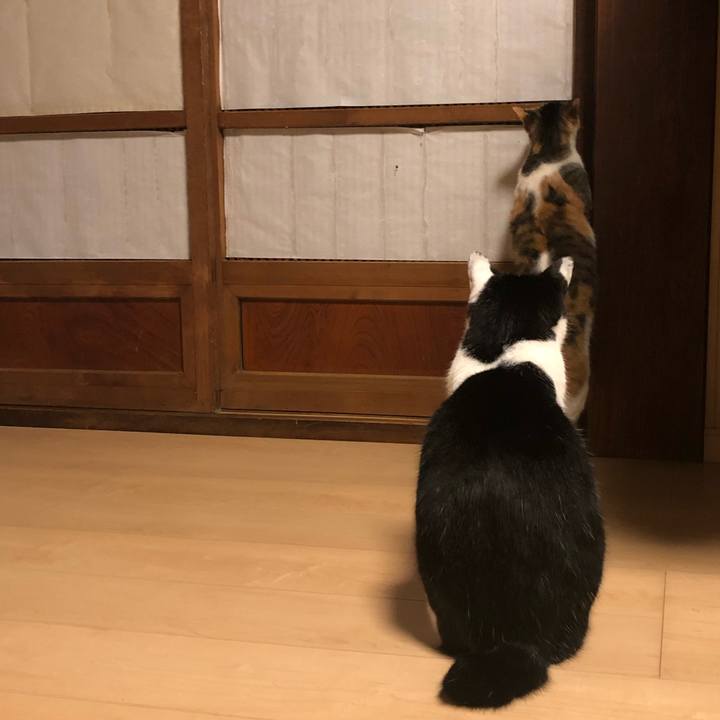 C96b5983 211f 4cf6 ab46 ba6d40938bb2 1575352234566