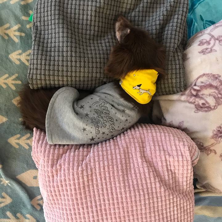 C96bac42 b513 41ea 867a 391900a5a7bc 1583886500562