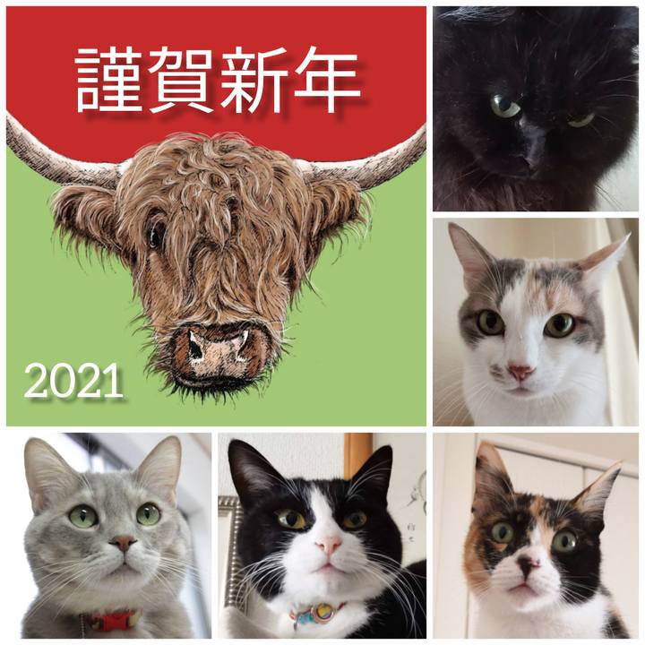 C96bbfa2 ea46 4e0c 9a26 13bd37b2d43a 1609459588388