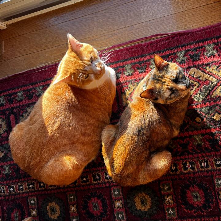 C96bc21c a7f6 4bae aca8 e084412b3922 1708815187827