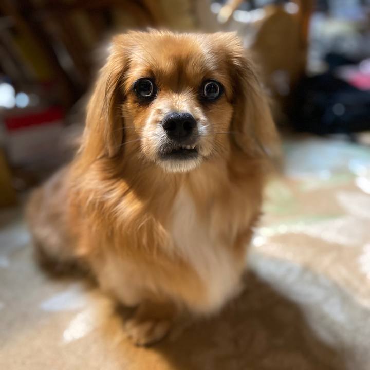 C96bc2ce 3de5 4a16 81e0 c411a7d132f3 1580247703674