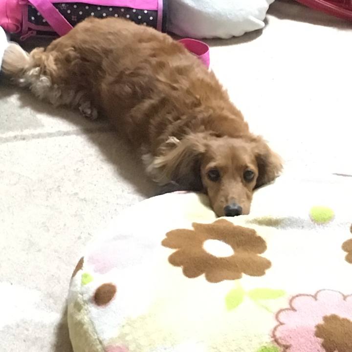 C96bc3b1 b555 4c57 ab56 5884c1942f45 1521204766722