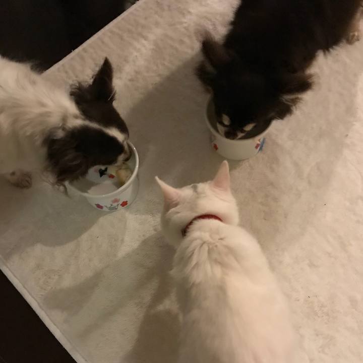 C96bd887 4108 4085 ade3 799321777d1e 1511181046189