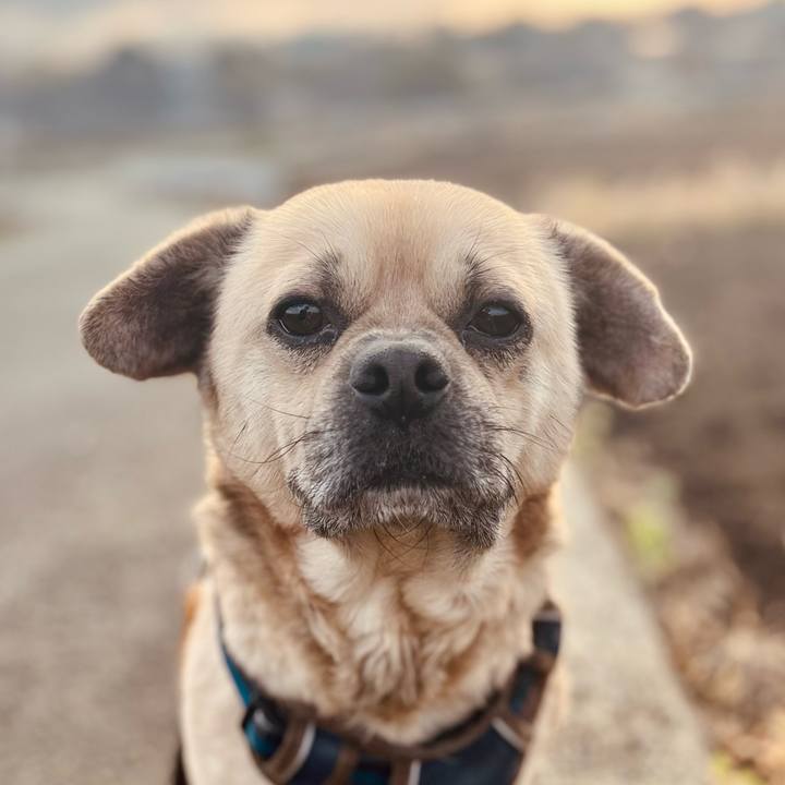 C96be133 0afc 4245 a041 fb5a3187a833 1774304418646