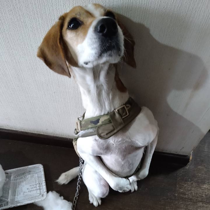 C96bf714 d72b 4620 a6f7 128d12bdfb18 1671193781664