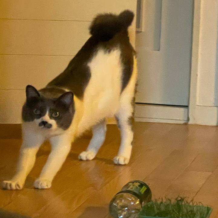 C96c1e78 cbfe 4483 9ffc 750743190df1 1627462438714