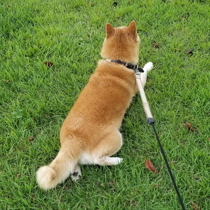 C96c6137 8d49 45b8 a4cd f44ce0f0ef56 1661990827910