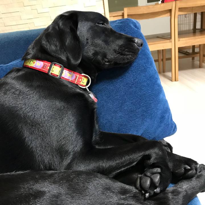 C96d3da6 4b2e 4eb1 ba9c 18ebfa551e77 1528026832839