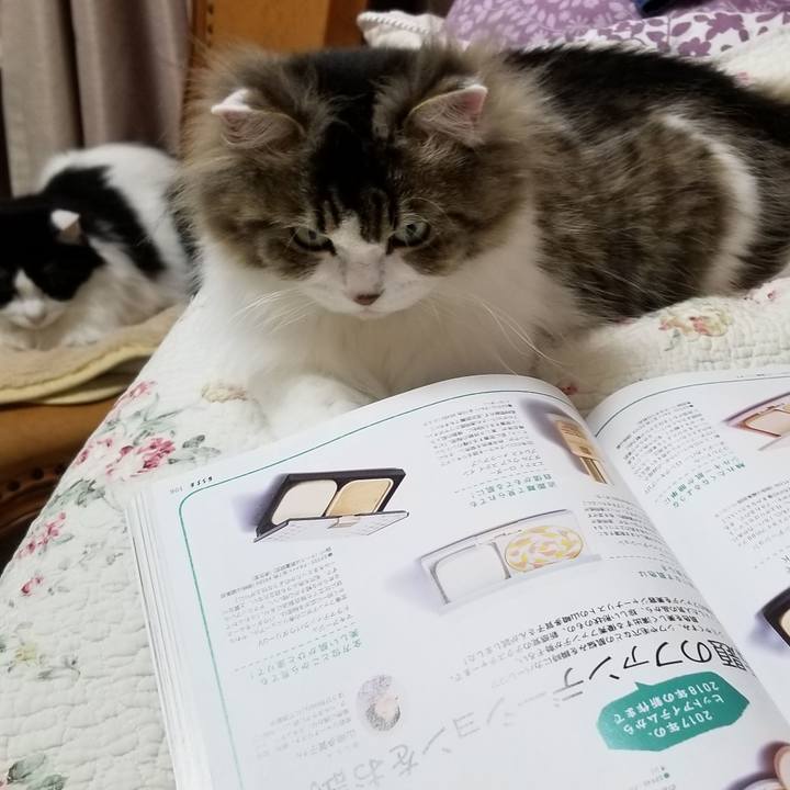 C96d4bd2 d189 4b2f a89a 4156fea1b265 1563714520339