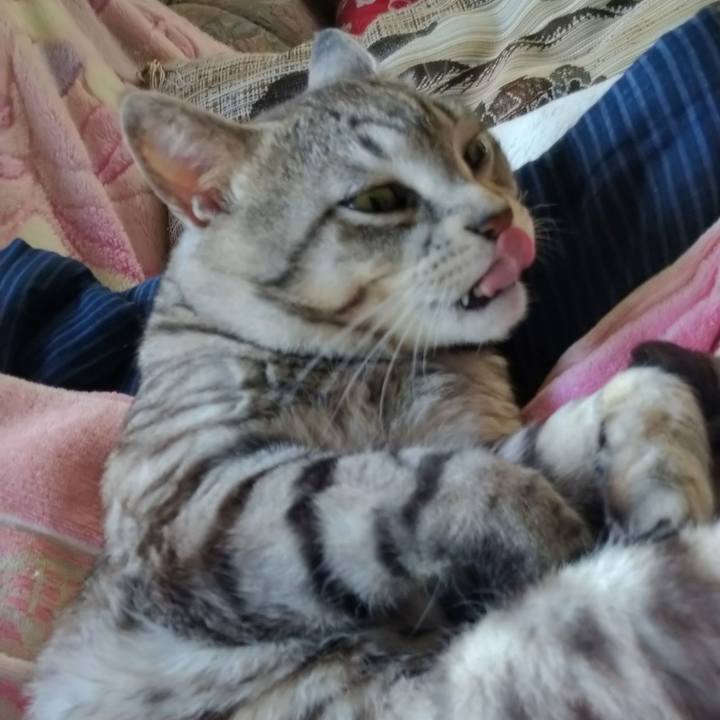 C96d653e 0d24 41b0 ac08 42f0d600ceba 1594049747495