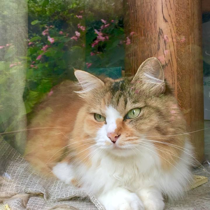 C96d77d8 d64f 4075 901e fe7be5d7b89e 1566791369257