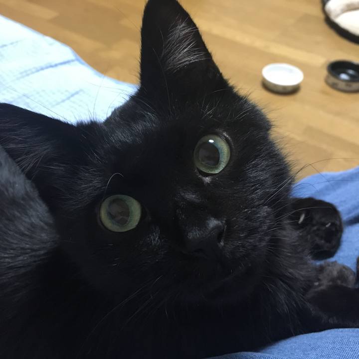 C96dbfa9 01a0 41b6 ad31 d949dea47e37 1542375195737