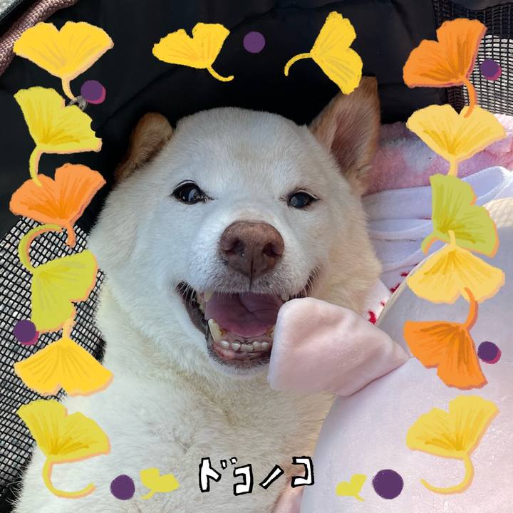 C96eb17a f87e 41f3 8bb4 5fb33f4b4c45 1729376299117