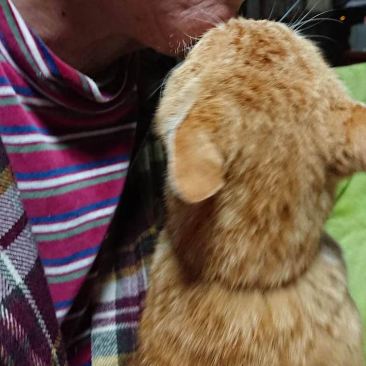 C96ed249 ab93 4cb5 98c8 e38f53998ab9 1586725767342