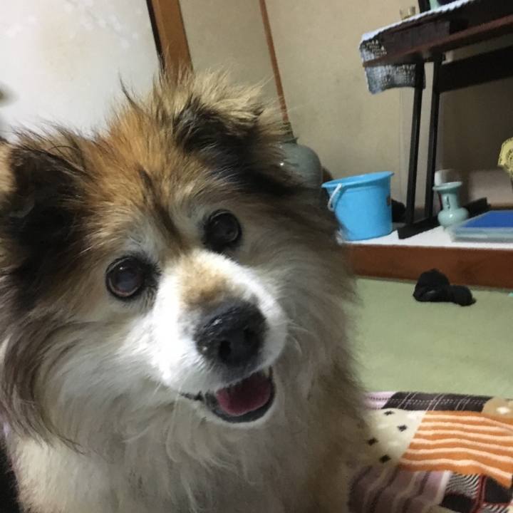 C96f0970 c075 4c86 96f6 4356fc1ac5a7 1609729616787