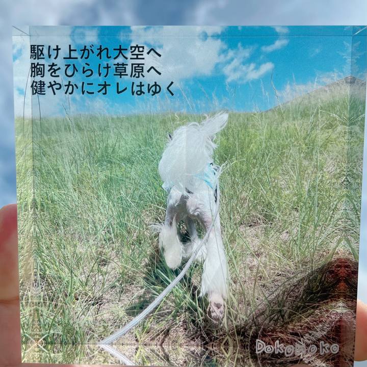 C96f25ee e54d 4bd9 a401 98144207ddab 1752993641237