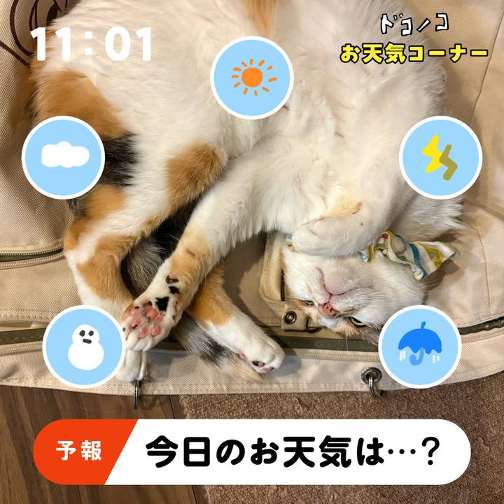 C96f2fb4 35dd 4035 8e3b 09bb11a5aa6a 1781581478549