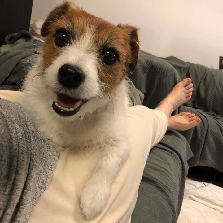 C96f483b 4a78 4a89 94cb 2315f5e9463e 1588506665285