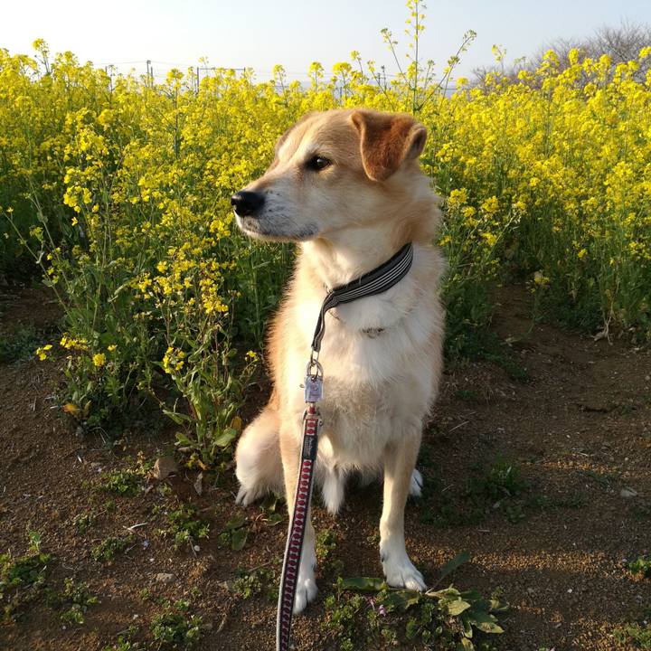 C96f4de3 58f6 4bfc af6a ee75c1e94623 1521108328987