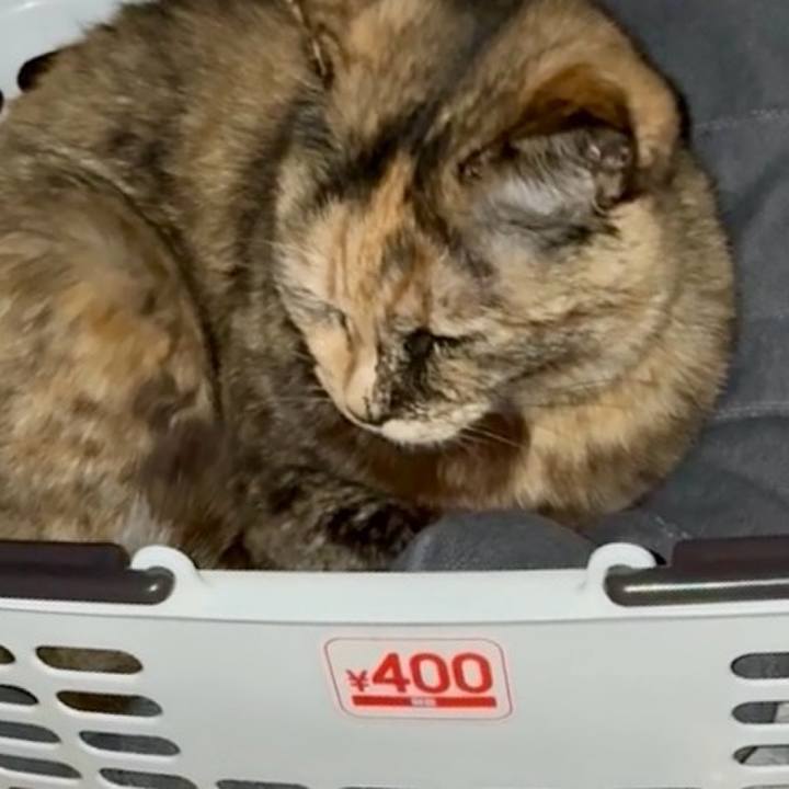 C96f88bc a306 4c96 957b d3bb8fbb11cd 1745436074616