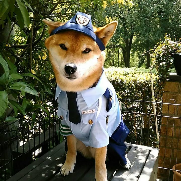 C96f9955 27d6 4f4a 9d0e cf9556023341 1555989022376