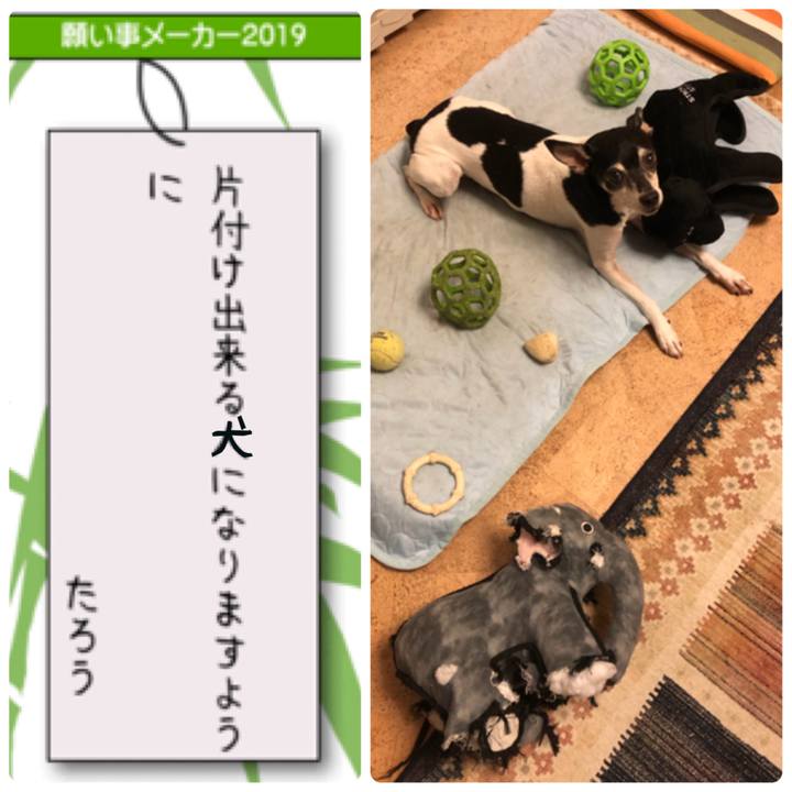 C96fab13 03eb 4e96 881b 6b216c663569 1562504501632