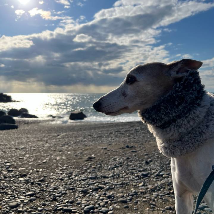 C96fe850 82cd 440b 8c2e 1280e5a55a1a 1761293746366