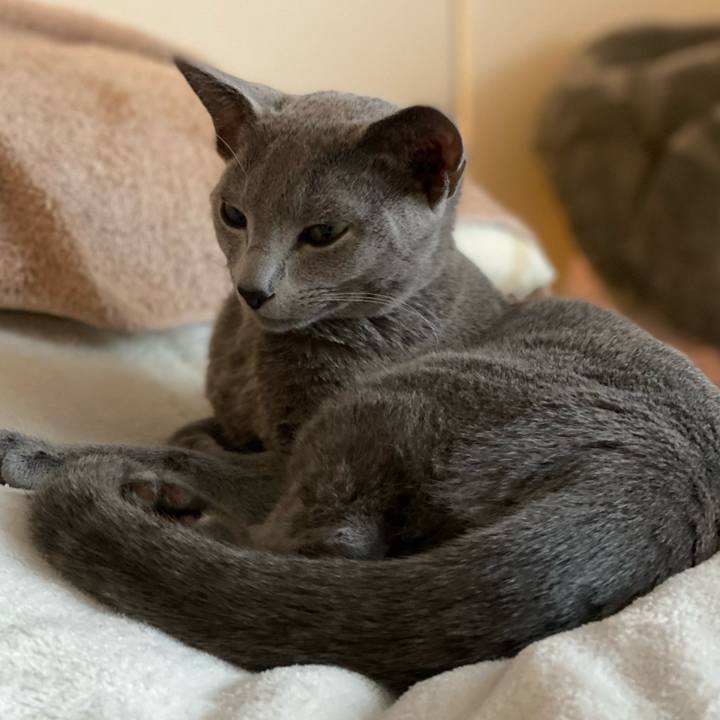 C97025f2 0a2a 48cb 95db d8152721c1a7 1612426033181