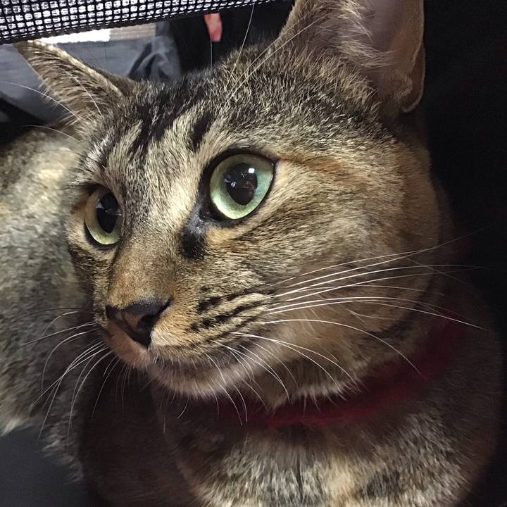 C97047d4 a217 447e 9149 3efabd0a6ee1 1602374786540