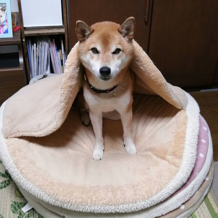 C9707933 69d3 4c40 bb73 024377465a4e 1666323763720