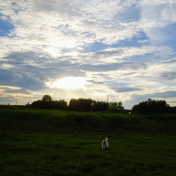 C970d920 21a4 4c20 93e6 f5f9aec52b59 1535458702116