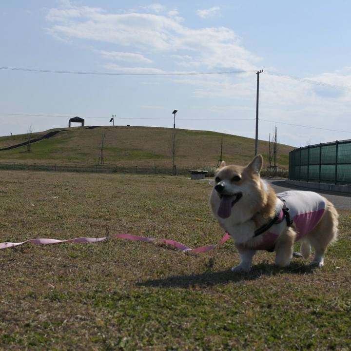 C9710d73 5941 4c92 bf56 10a9214d6fa8 1586695435199