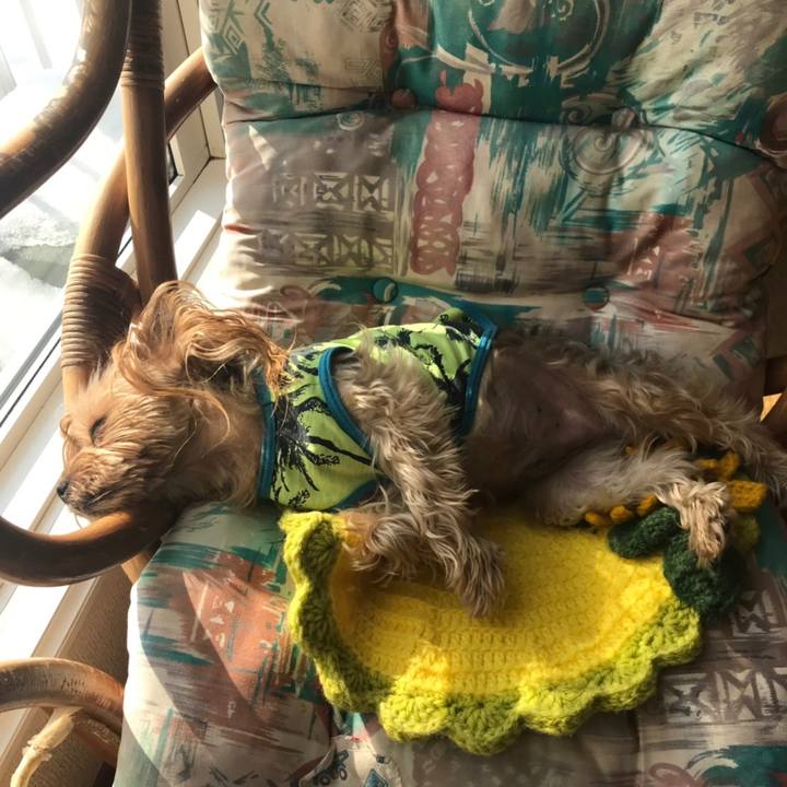 C97111c1 969d 4386 a879 374951088e69 1551134193373